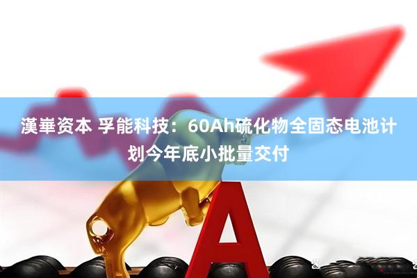 漢崋资本 孚能科技：60Ah硫化物全固态电池计划今年底小批量交付