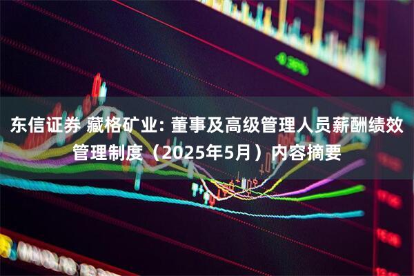 东信证券 藏格矿业: 董事及高级管理人员薪酬绩效管理制度（2025年5月）内容摘要