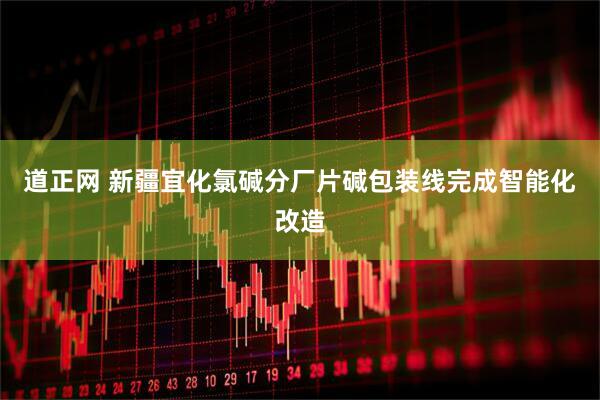 道正网 新疆宜化氯碱分厂片碱包装线完成智能化改造