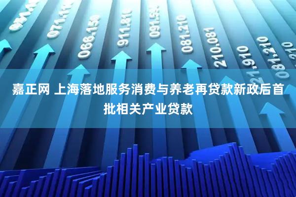 嘉正网 上海落地服务消费与养老再贷款新政后首批相关产业贷款