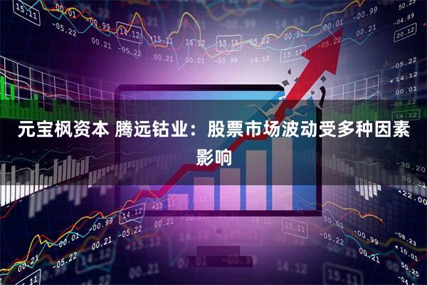 元宝枫资本 腾远钴业：股票市场波动受多种因素影响