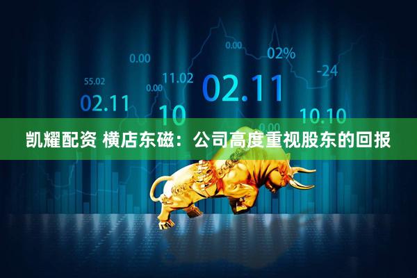 凯耀配资 横店东磁：公司高度重视股东的回报